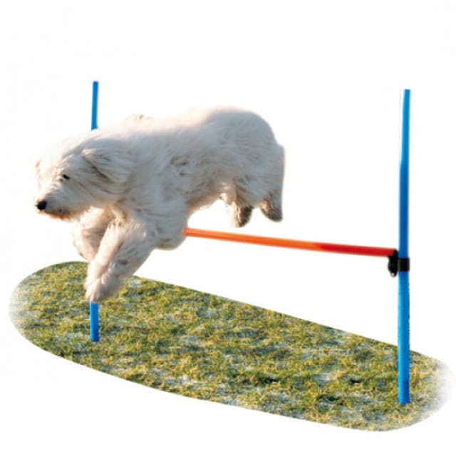 Haie Agility-Family ™ pour sport canin