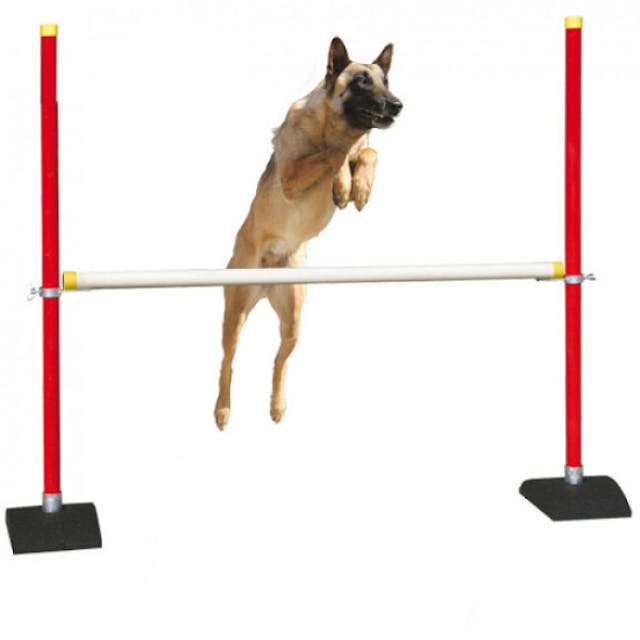 Haie poteaux barres pour sport canin