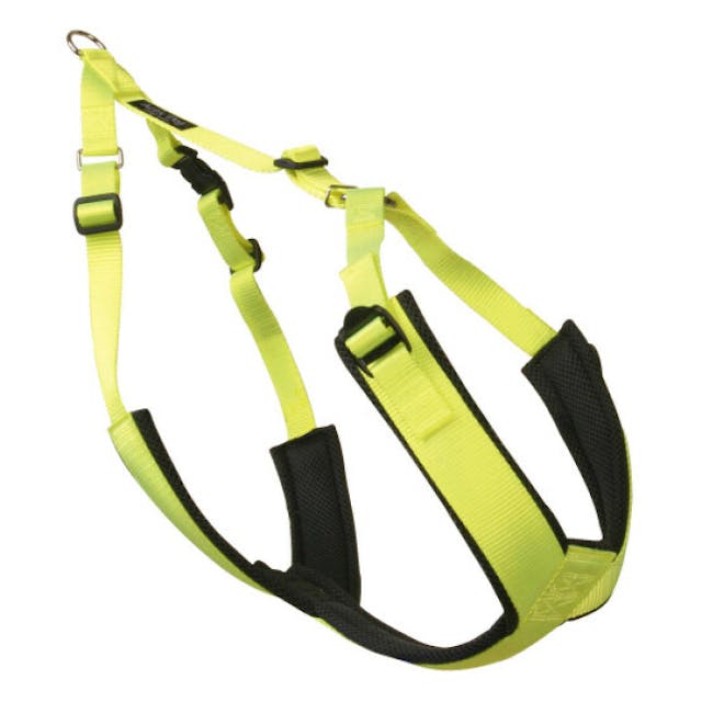 Harnais Canicross Fluo pour chien