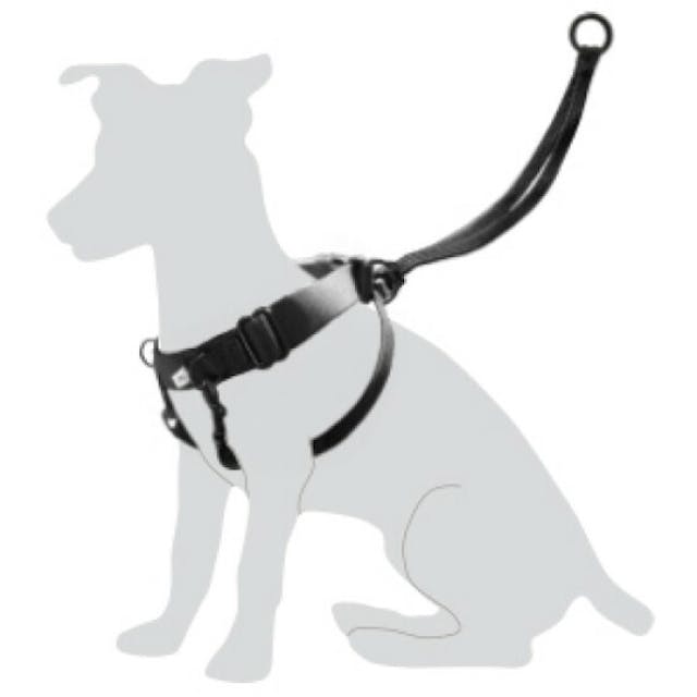 Harnais d'éducation pour chien Easy Walker Flamingo