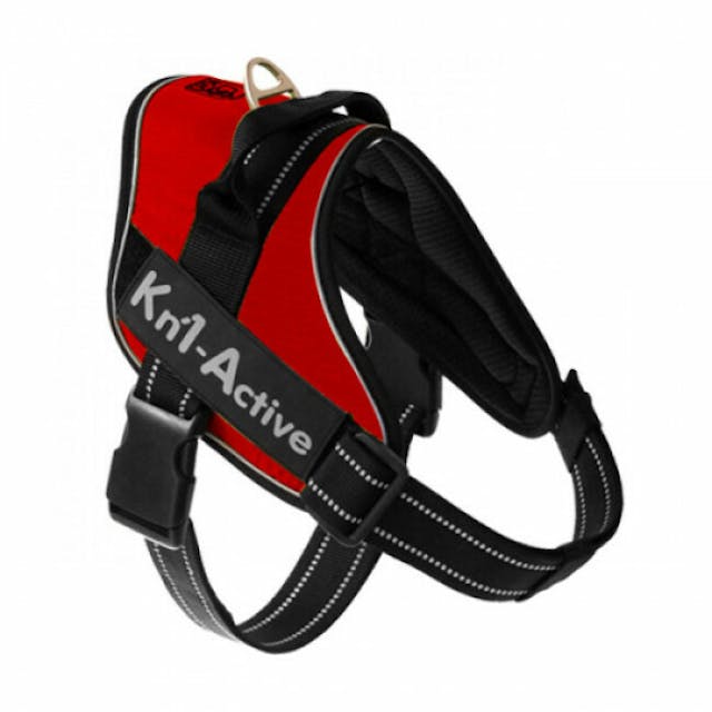 Harnais Kn'1 Active Speed pour chien sportif