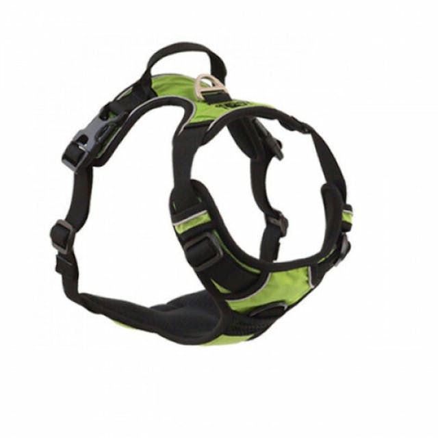 Harnais multifonction Kn'1 Active Drive pour chien