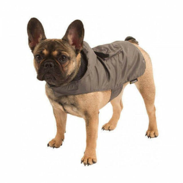 Imperméable pour chien Seattle Kerbl gris