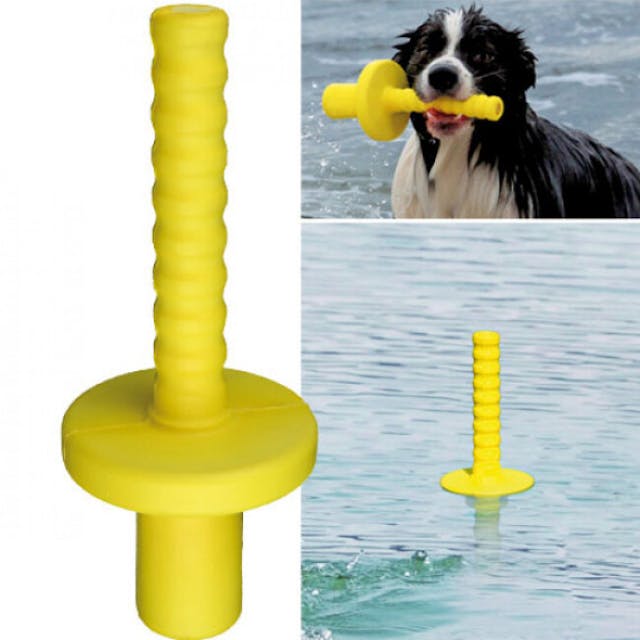 Jeu aquatique Aqua-Mot pour chien