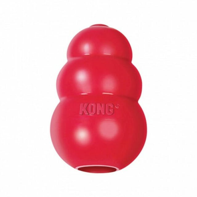 KONG jeu multi-boule ultra résistant pour chien