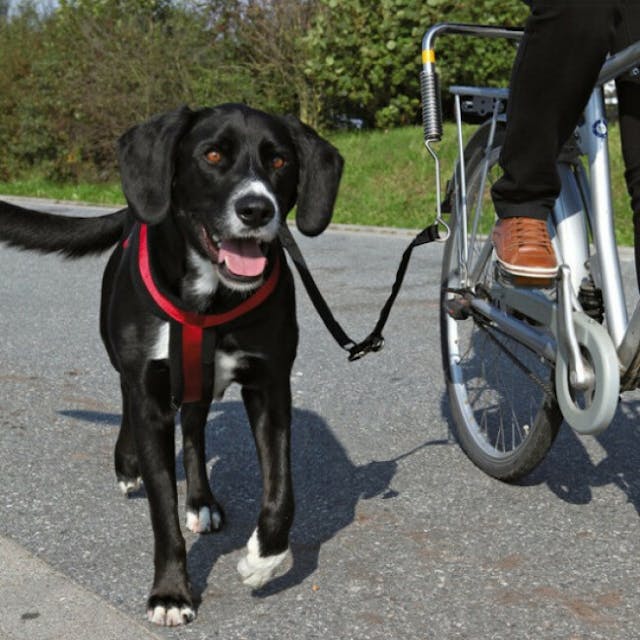 Laisse de vélo pour chien Biker Set Trixie