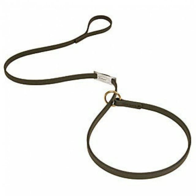 Laisse lasso en Biothane pour chien