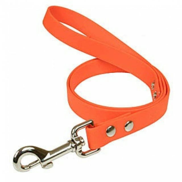 Laisse orange fluo en Biothane rivetée pour chien