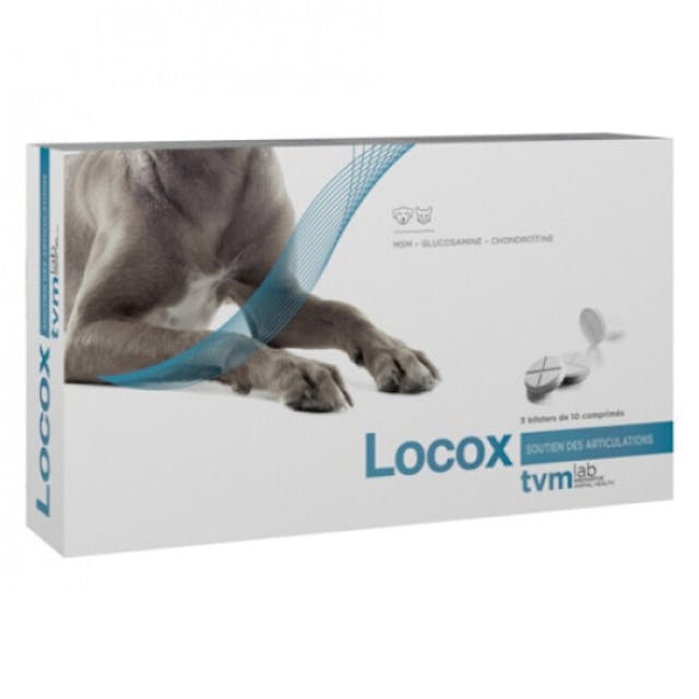 Locox complément chien et chat souffrant d'arthrose et arthrite