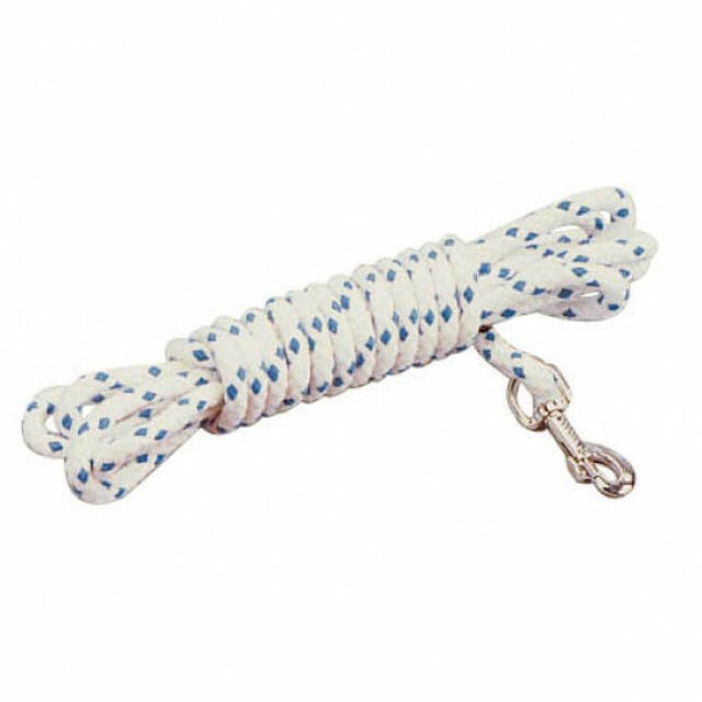 Longe de frappe polyester et coton pour chien