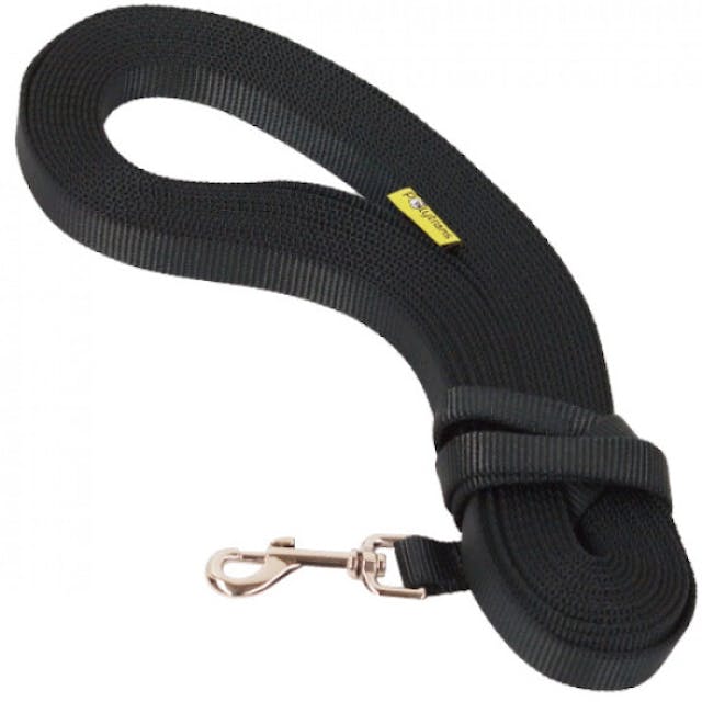 Longe de pistage nylon pour chien