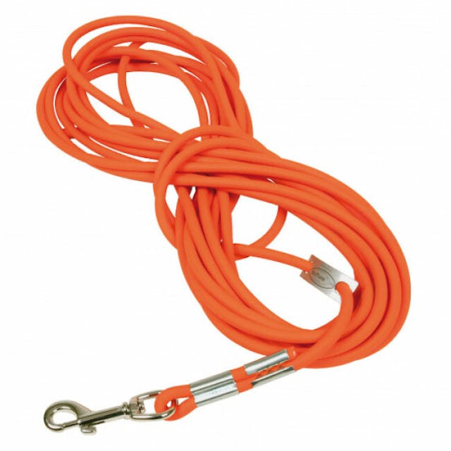 Longe ronde orange Fluo en Biothane pour chien