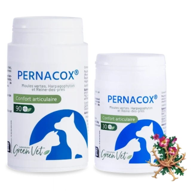 Pernacox confort articulaire pour chien et chat