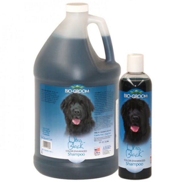 Shampoing Bio Groom colorant Ultra Black pour poil noir de chien et chat