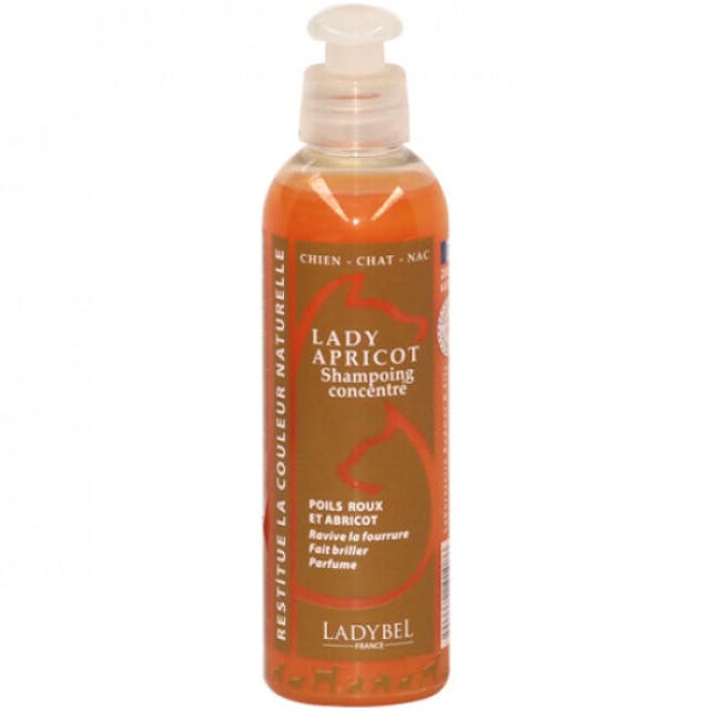 Shampooing Ladybel couleur protéine pour chien et chat