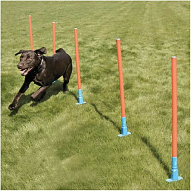 Slalom agility Garden en PVC