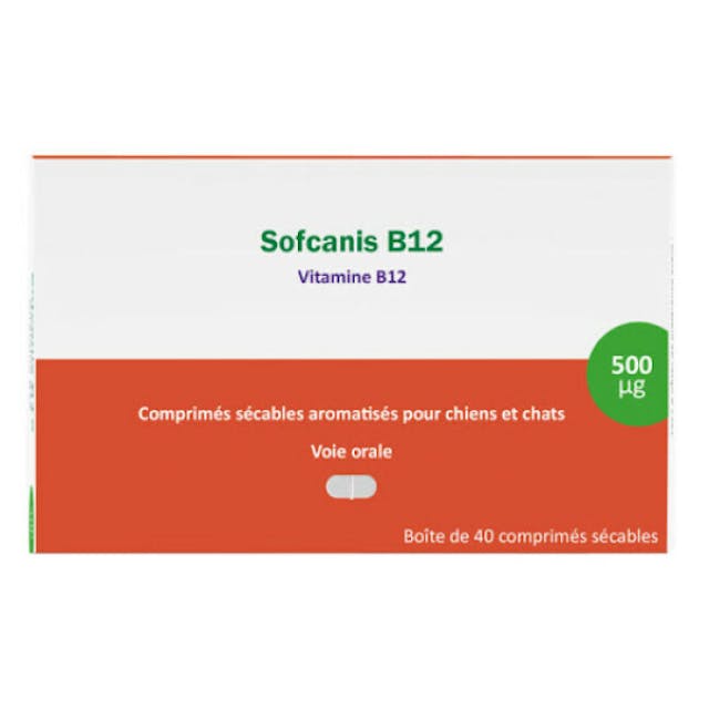 Sofcanis B12 vitamine pour chien et chat