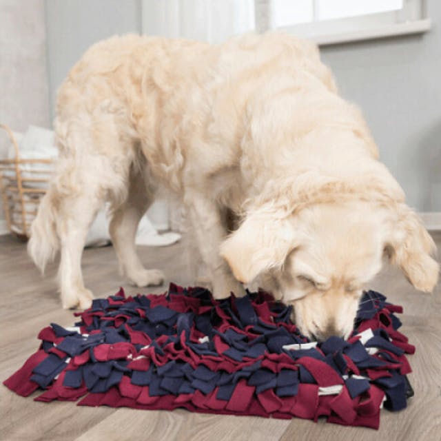 Tapis de fouille pour chien Activity Sniffing Trixie