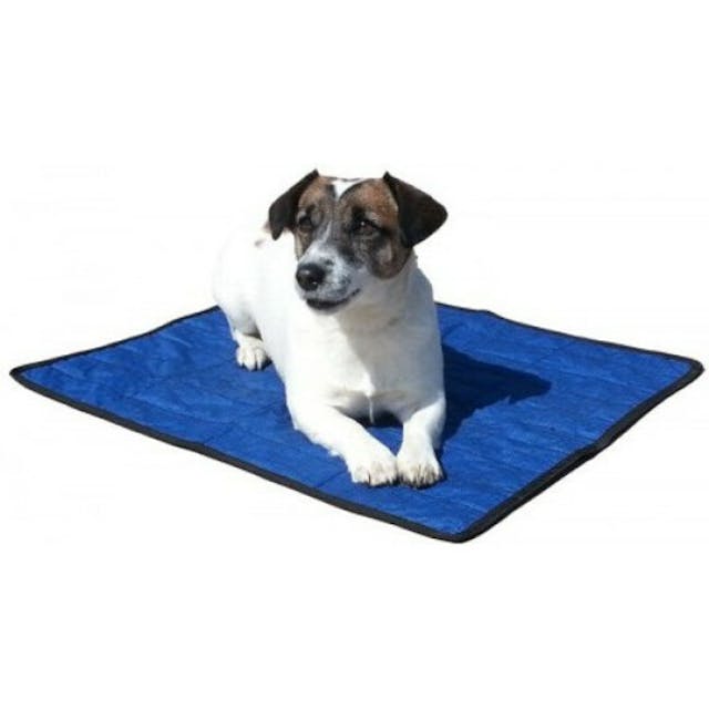 Tapis rafraîchissant pour chien Aqua Coolkeeper