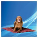 Tapis rafraîchissant pour chien Aqua Coolkeeper - Rouge - 90 x 80 cm