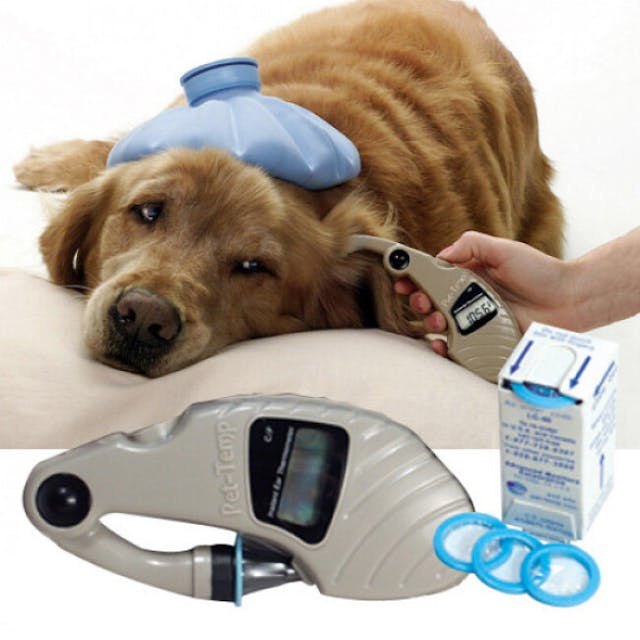 Thermomètre auriculaire EAR PT-300 pour chien et chat