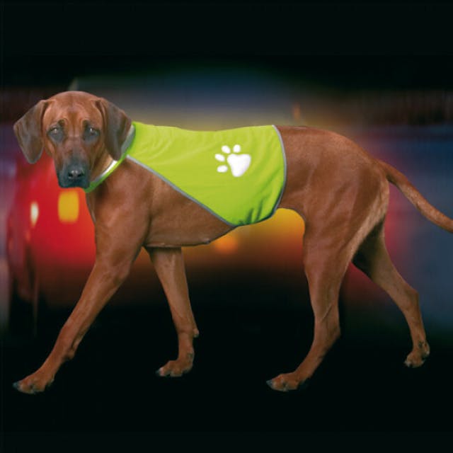 Veste pour chien Dog Vision