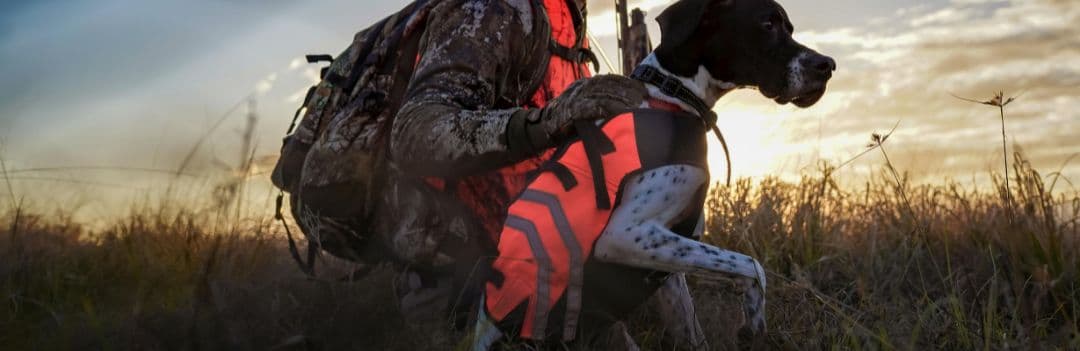 Chassepassion.net : au cœur de l'actualité de la chasse depuis 1999