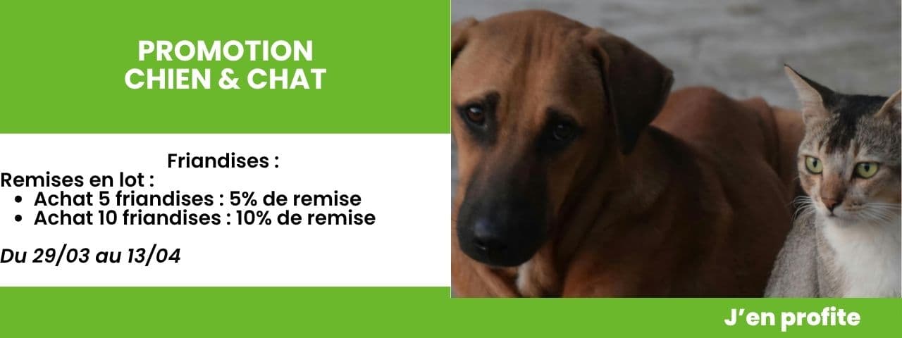 Achat 5 friandises : 5% de remise / Achat 10 friandises : 10% de remise