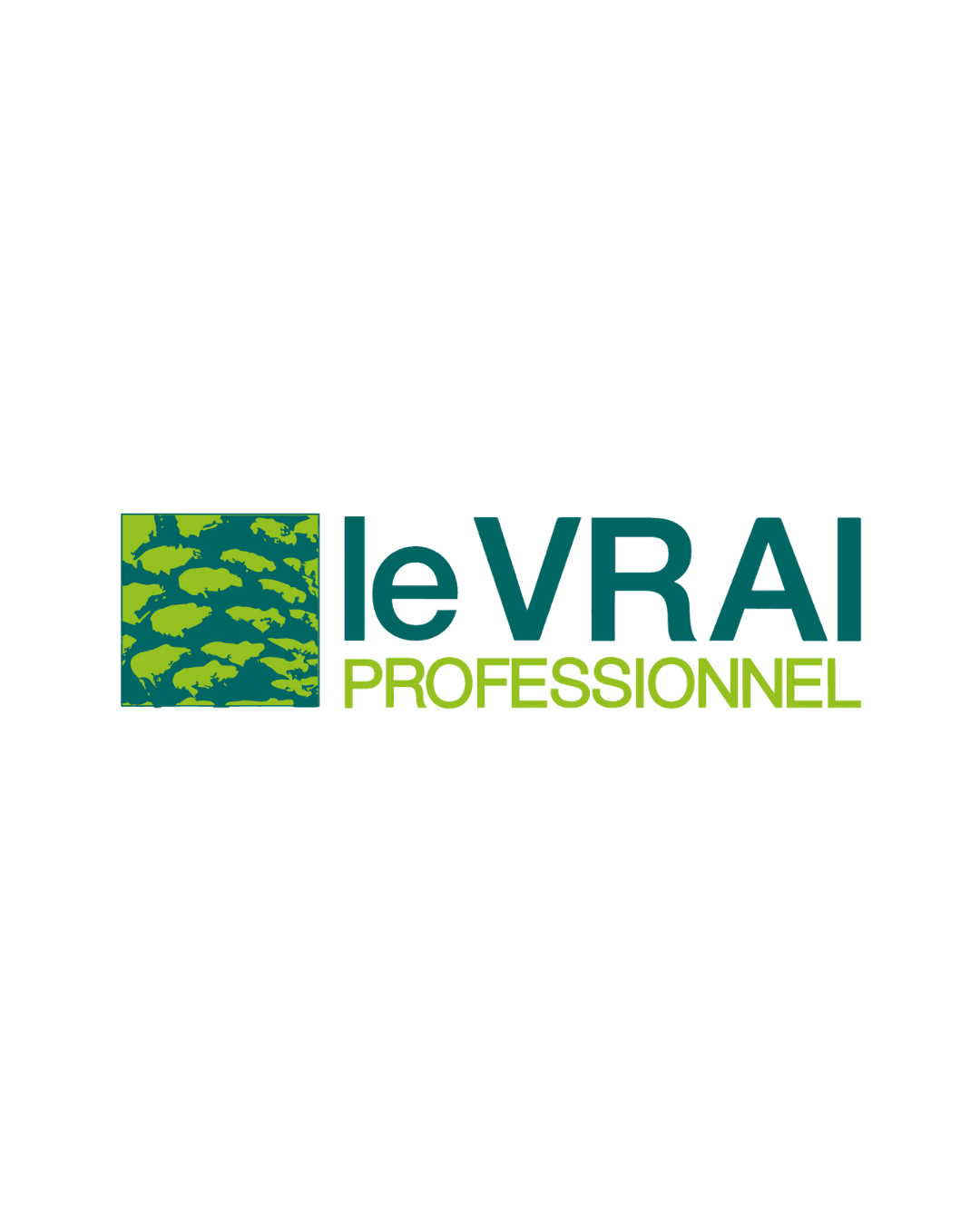 le-vrai-professionnel