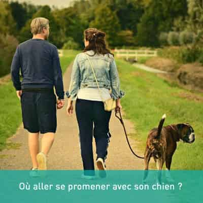 Où aller se promener avec son chien ?