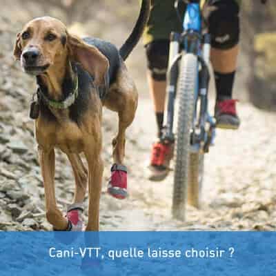 Cani-VTT, quelle laisse choisir ?