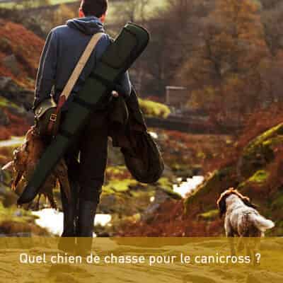 Quel chien de chasse pour le canicross ?