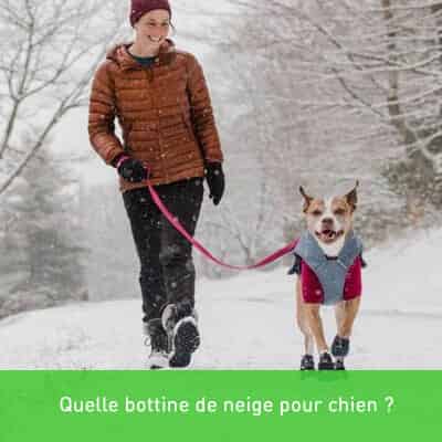 Quelle bottine de neige pour chien ?