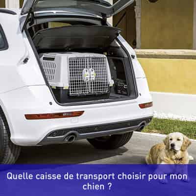 Quelle caisse de transport choisir pour mon chien ?
