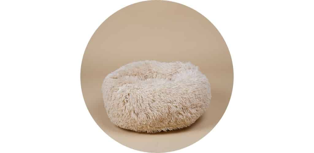 Coussin pour chien
