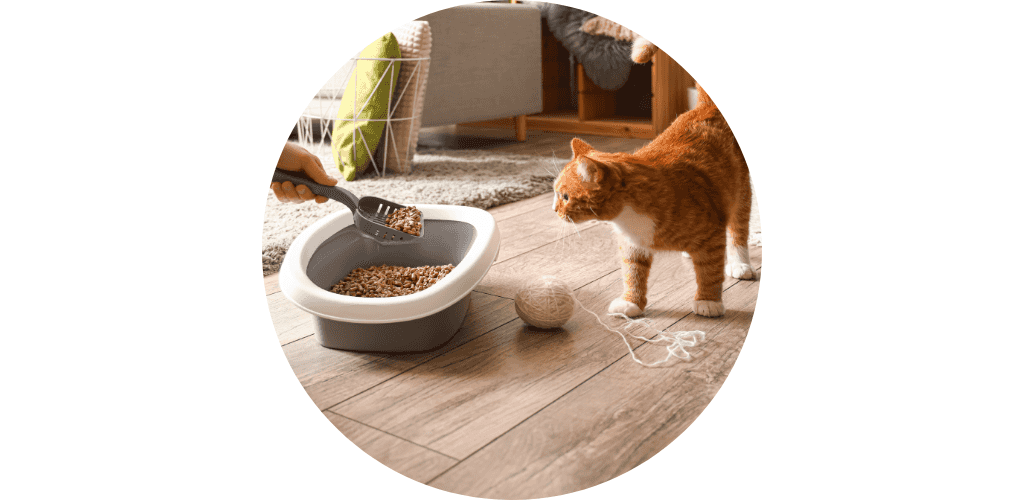 Bac à litière pour chat