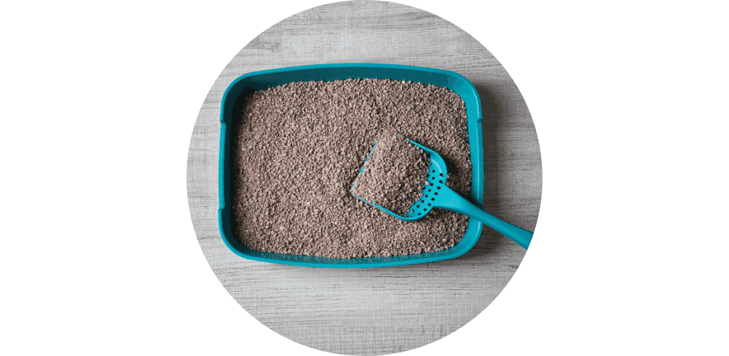 Litière de silice pour chat