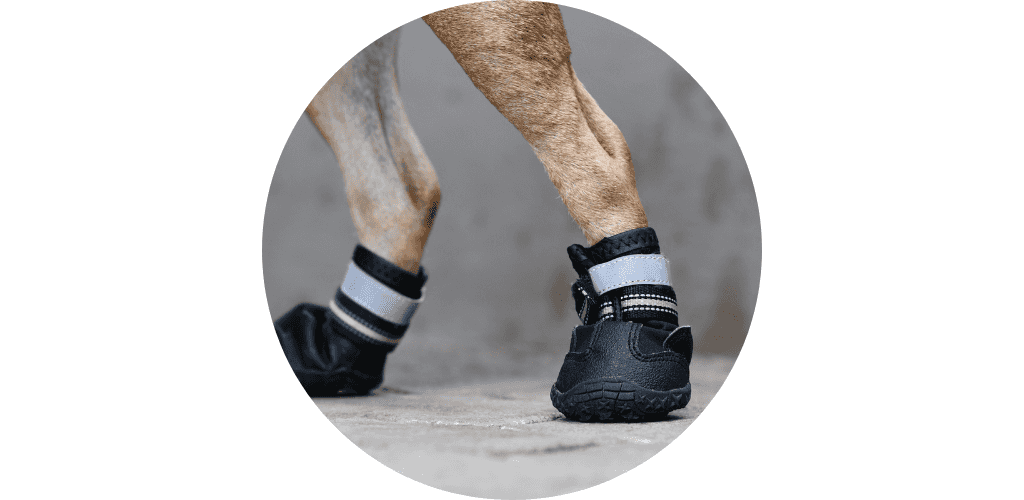 Bottine pour canirando