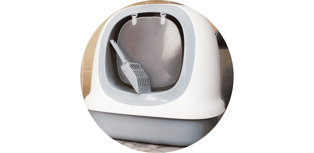 Maison de toilette pour chat