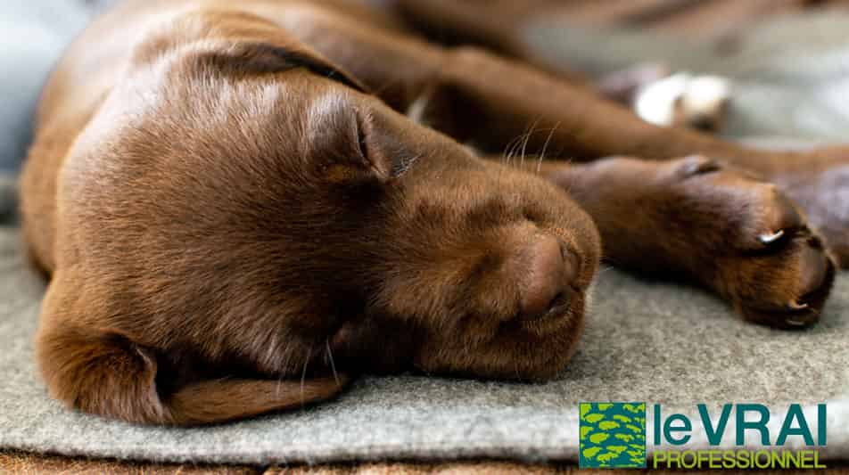 Le vrai produits d'entretien éco responsable
