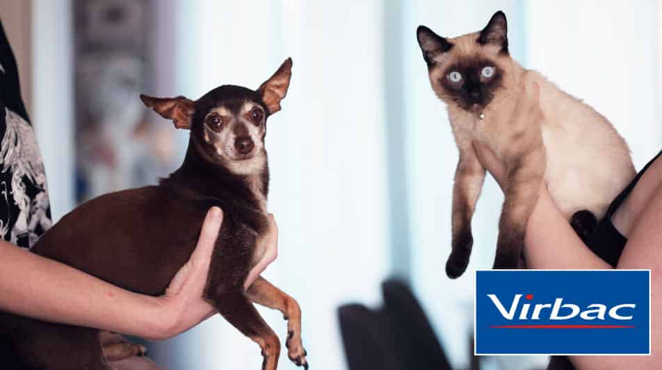 laboratoire Virbac