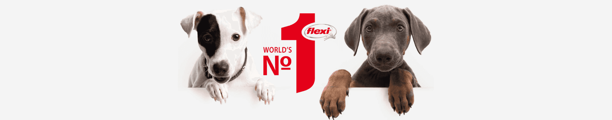 Laisses flexi pour chien