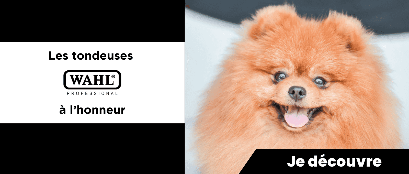 https://www.polytrans.fr/accessoires-animaux-de-marque/wahl.html