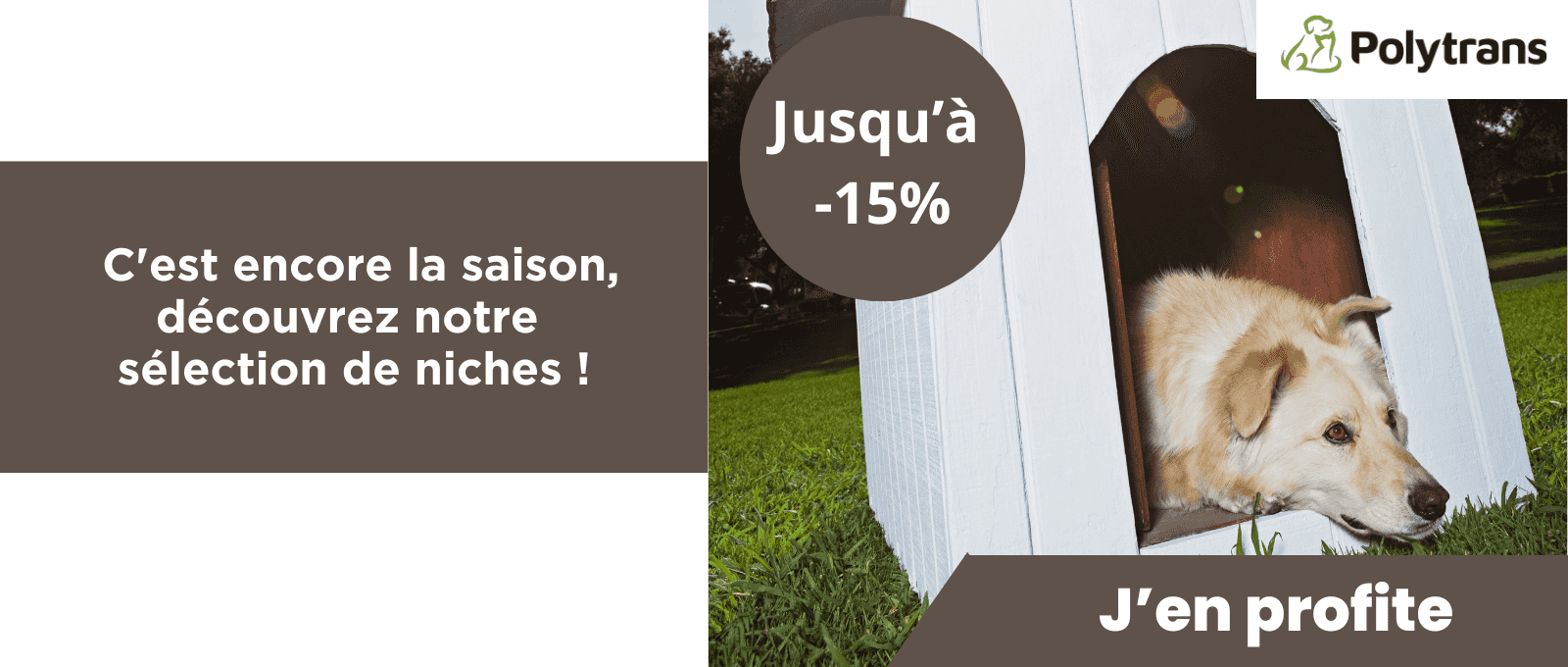 C'est encore la saison, découvrez notre sélection de niches 2026 !