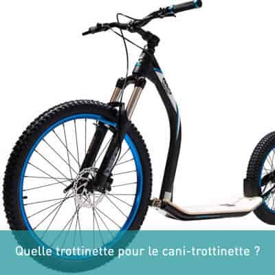 Quelle trottinette pour le cani-trottinette ?