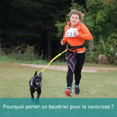 Pourquoi porter un baudrier pour le canicross ?