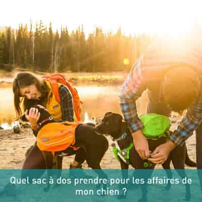Quel sac à dos prendre pour les affaires de mon chien ?