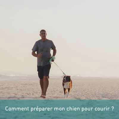 Comment préparer mon chien pour courir ?