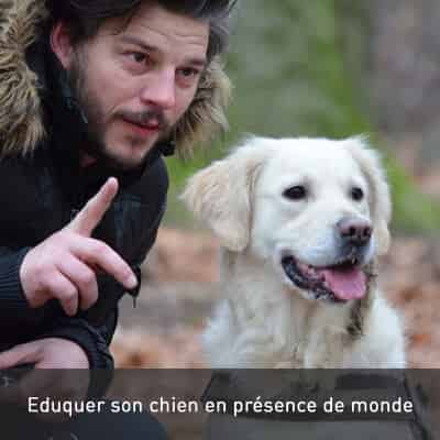 Eduquer son chien en présence de monde