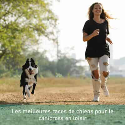 Les meilleures races de chiens pour le canicross en loisir